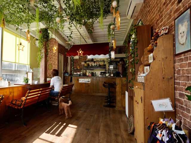 【間借り飲食店の物件情報】東京都三鷹市井の頭３丁目のカフェバー